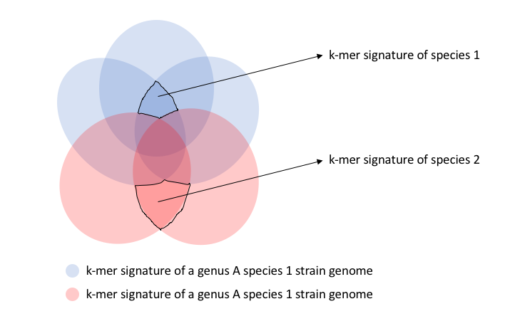 Image of LINgroup signature k-mer